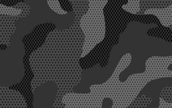 Technologie de camouflage bionique